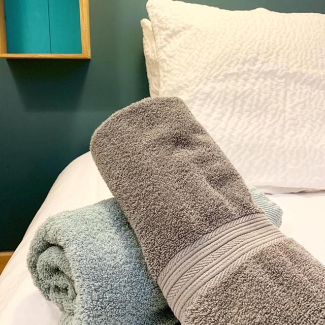 Au Cheval Blanc - Appartements Et Chambres D'Hotes Албервил Екстериор снимка