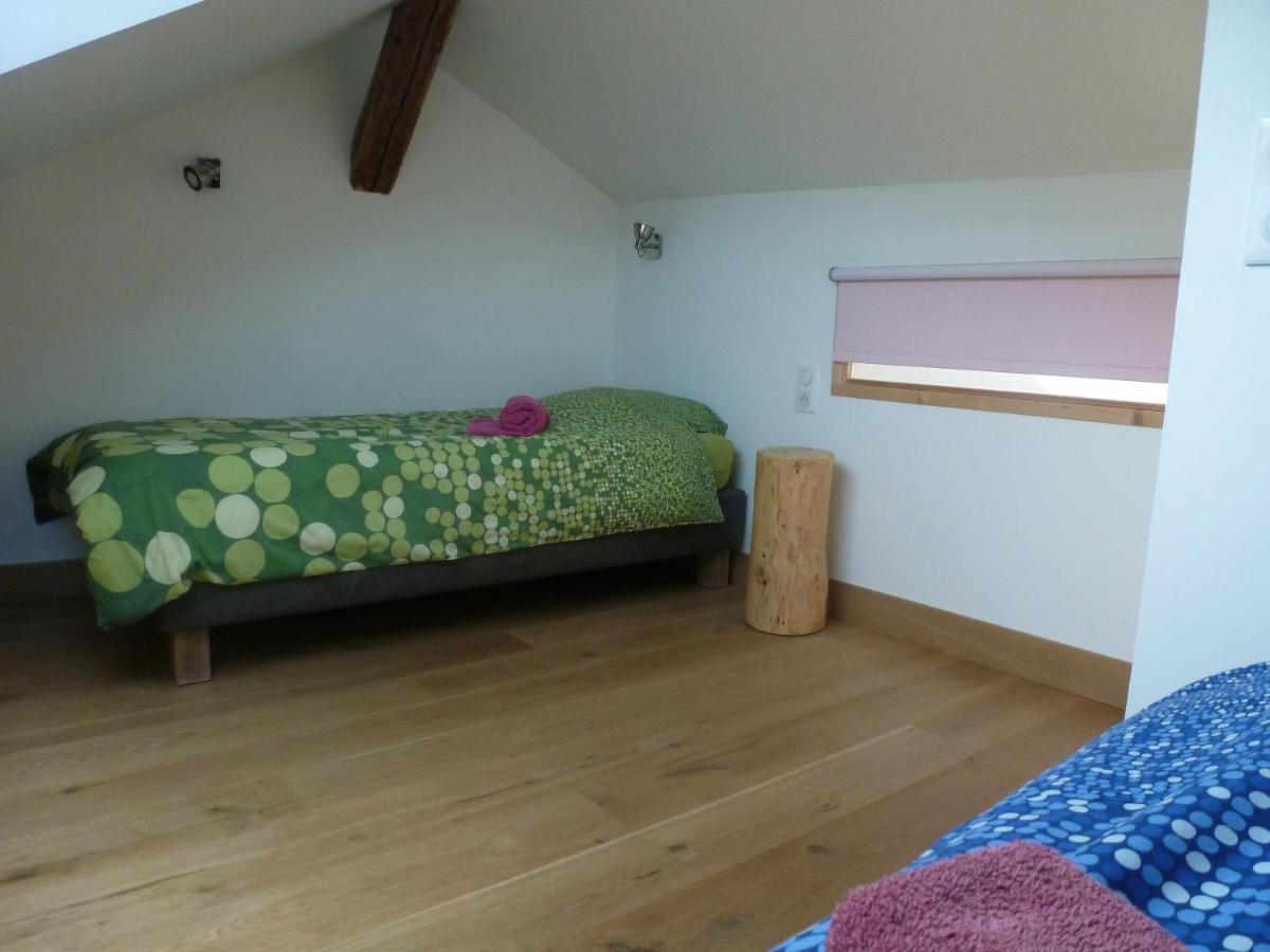 Au Cheval Blanc - Appartements Et Chambres D'Hotes Албервил Екстериор снимка